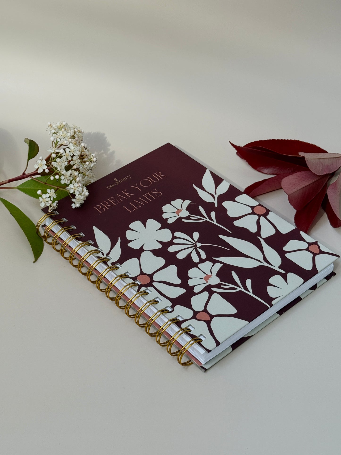 Cuaderno Magna