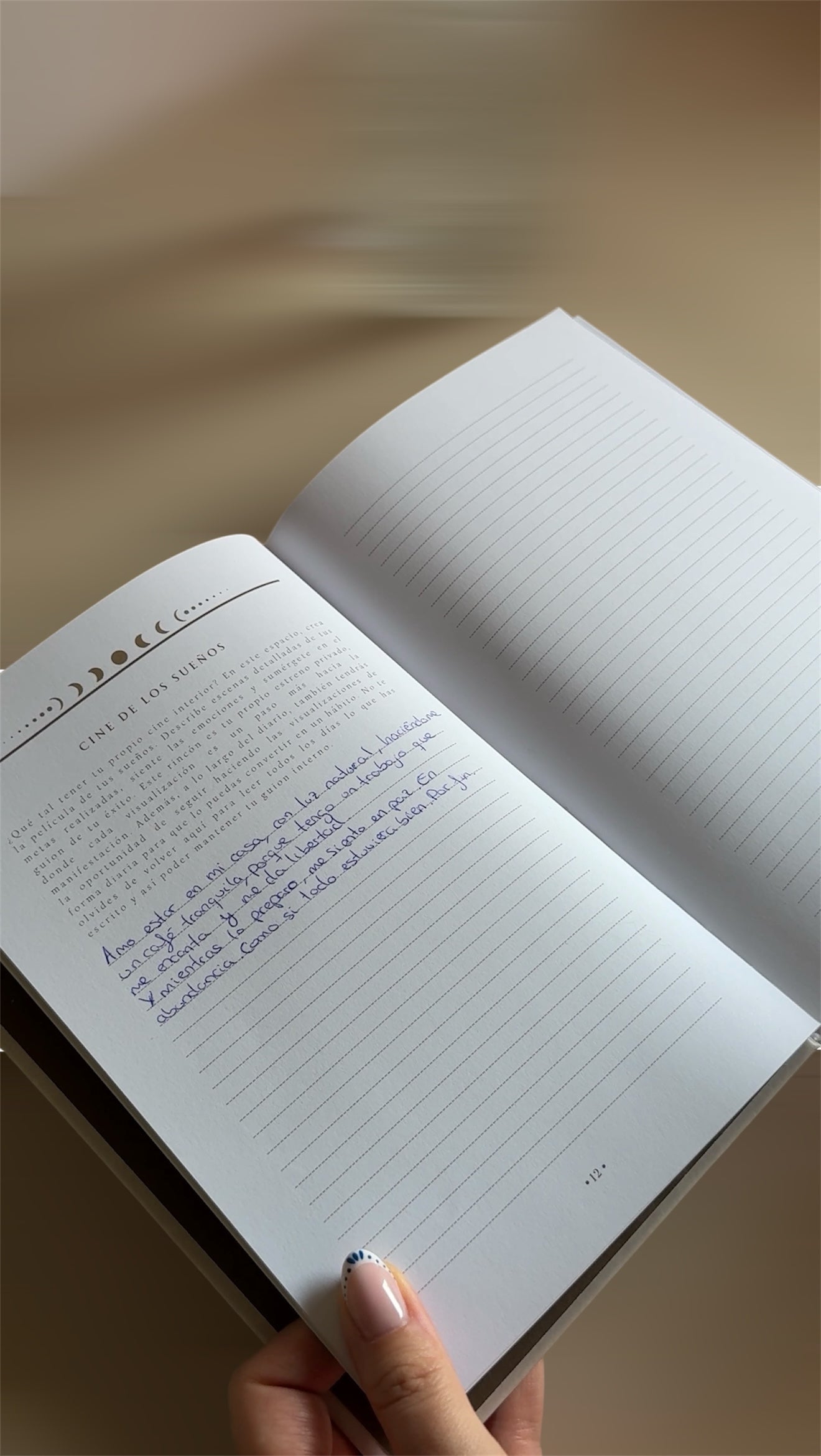 Diario de gratitud y manifestación