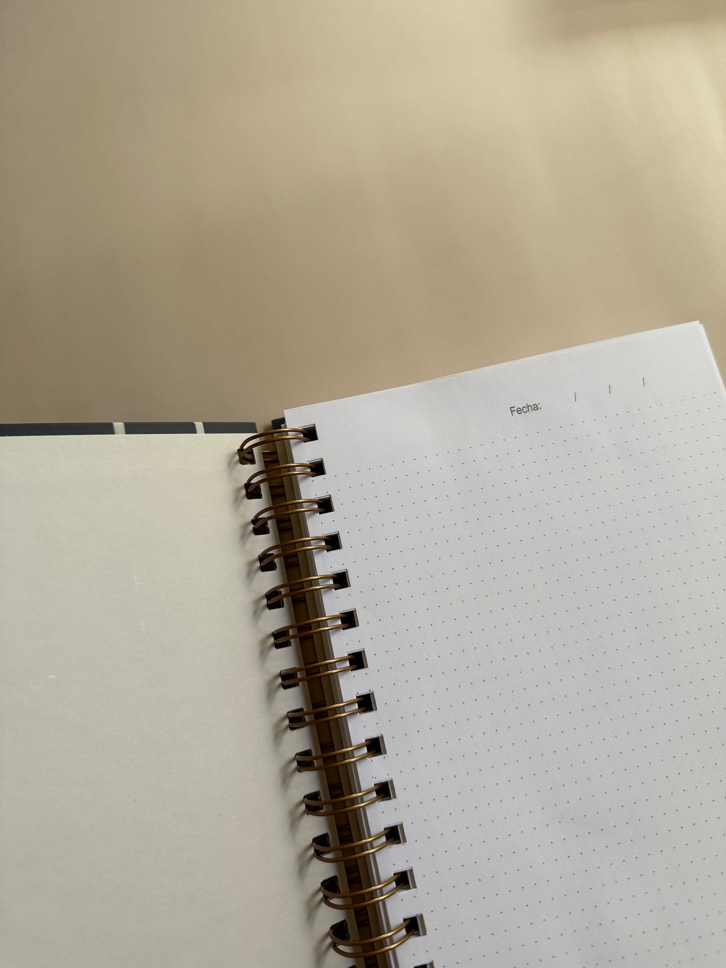Cuaderno Monroe