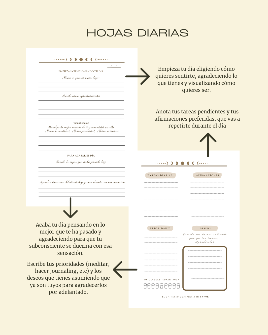 Diario de gratitud y manifestación