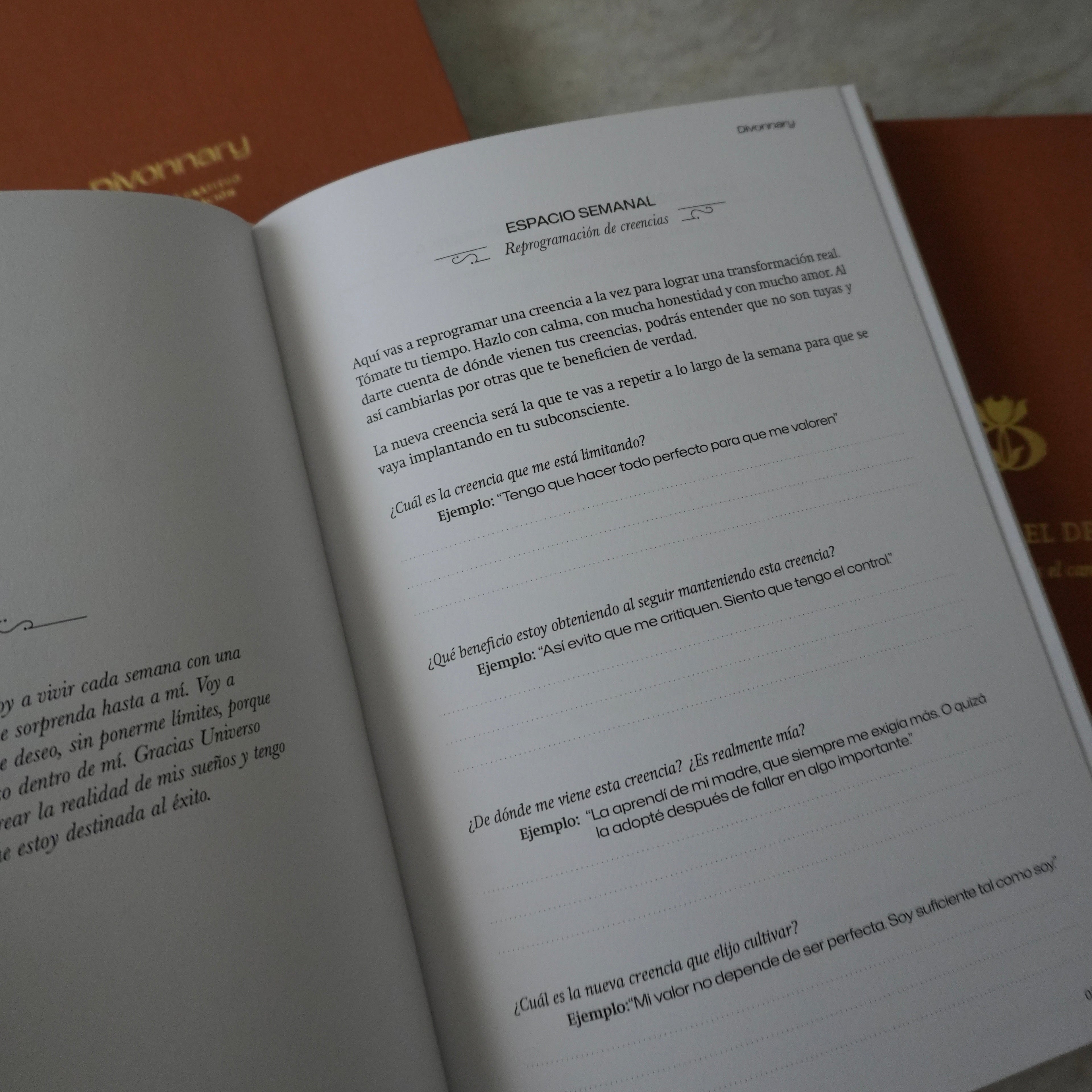 Diario de gratitud y manifestación
