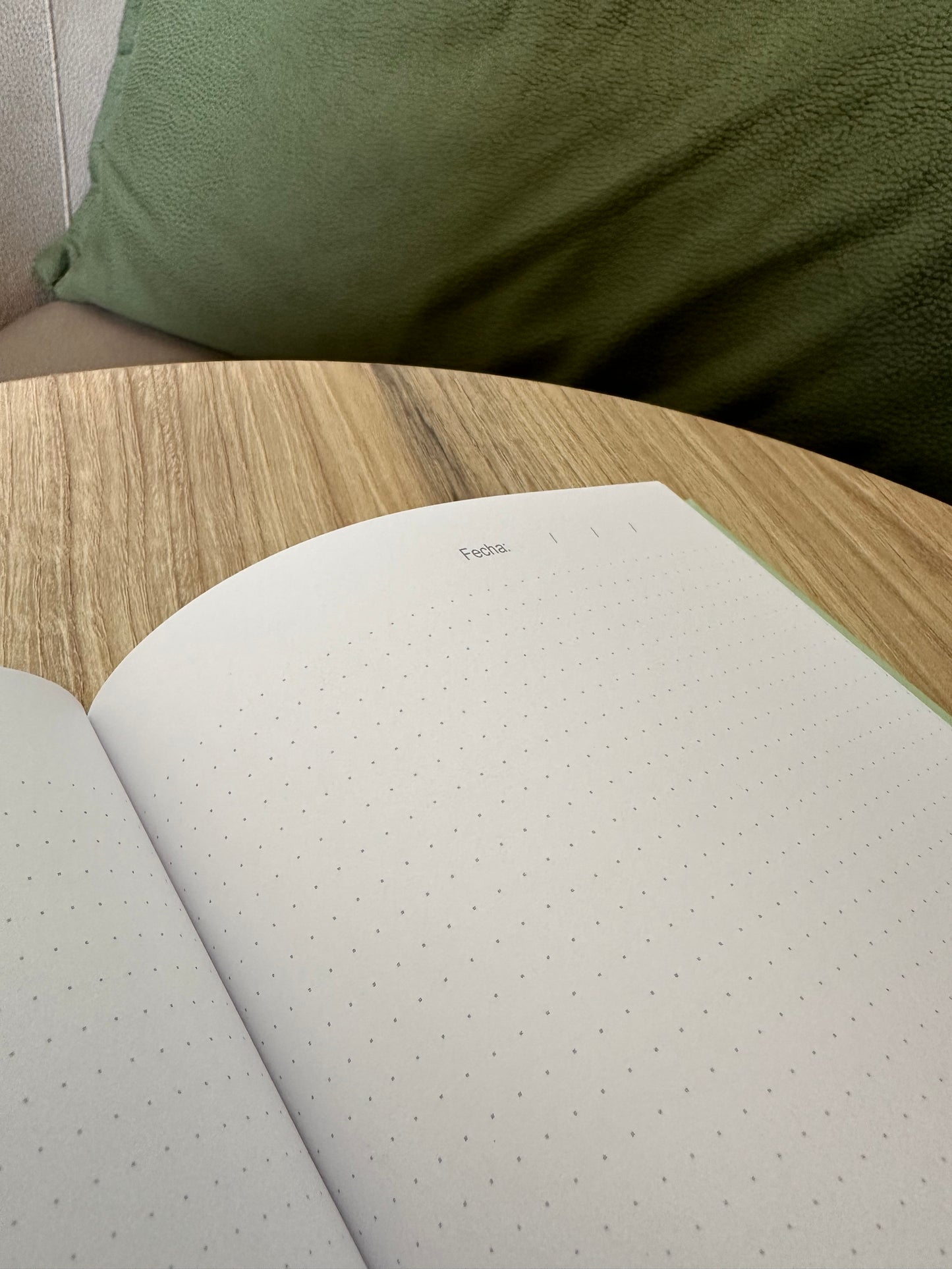 Bullet Journal Olivo